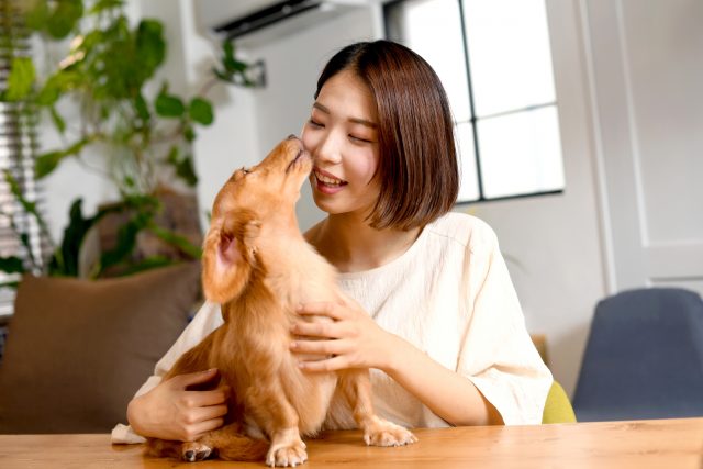 ペット可の賃貸物件でも入居や契約時に注意しておくべきこと